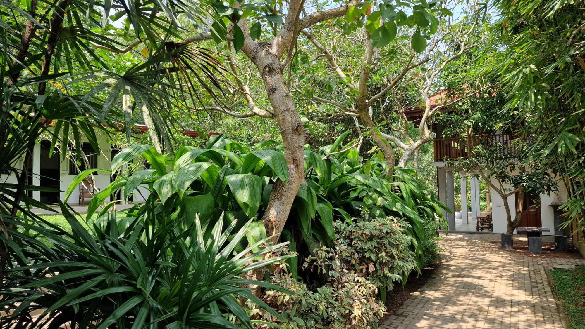 Villa Arana Bentota Exterior foto